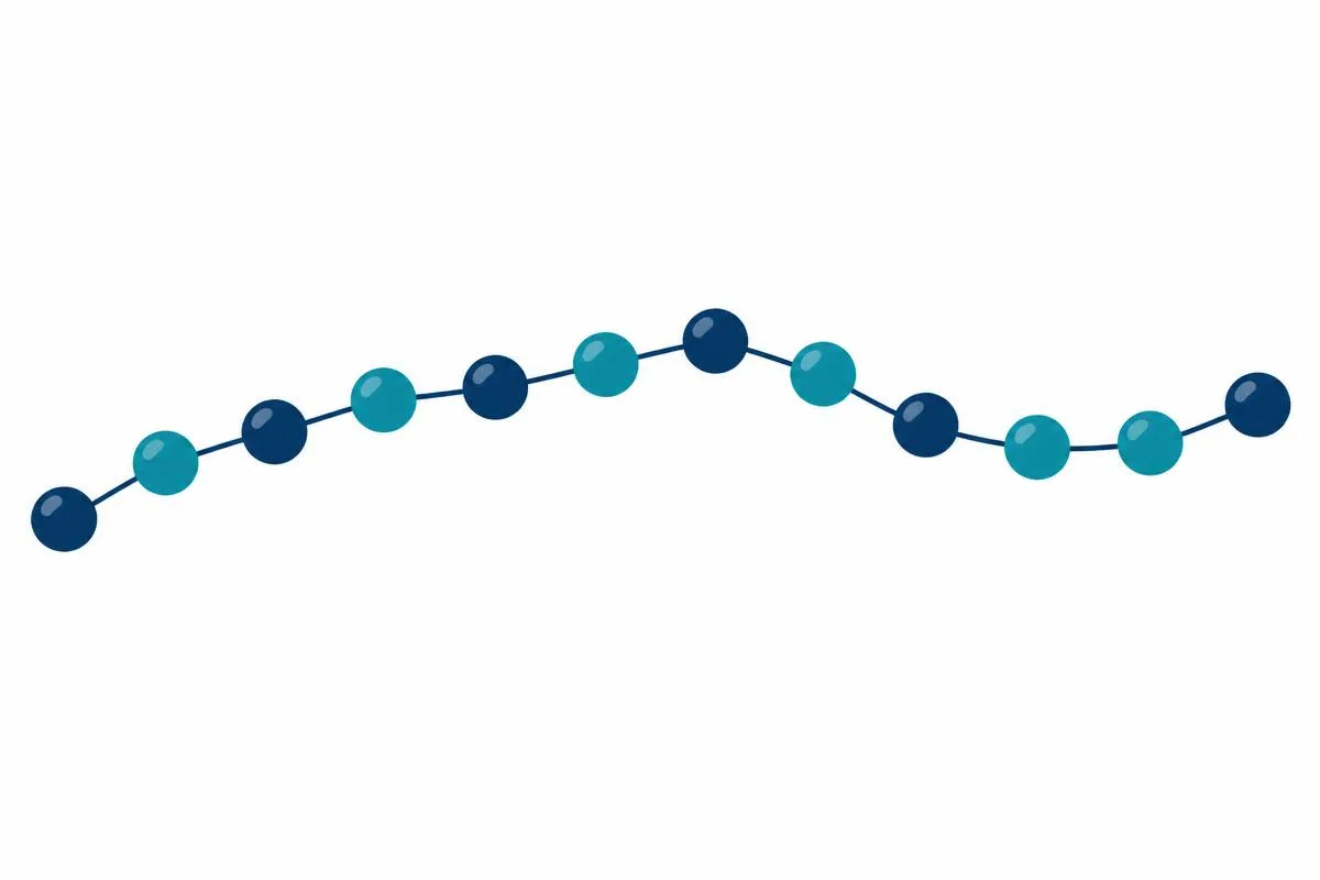 Diagram of amino acids linked in a chain to form a peptide